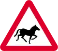 Horses ahead