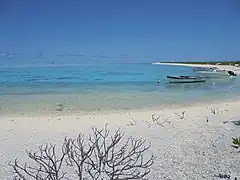 Flora, Fauna and landscapes from The Thirteen Islands of St. Brandon