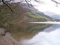 Loch Eck, Benmore-Glenbranter Forestry Road