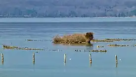 Almost submerged shipwrecks, February 2017