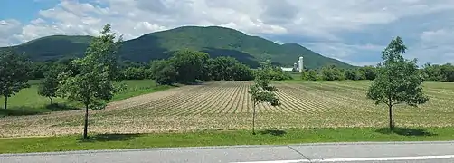 View of Mont Saint-Hilaire and crop fields from Route 229 (north of the village of Saint-Jean-Baptiste)