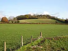 A tree covered hill of the horizon