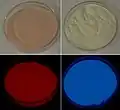 Calcium sulfide (left) and metal-earth silicate (right) phosphoresce in red and blue respectively.
