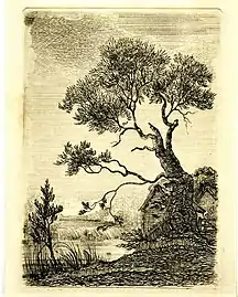 etching of trees