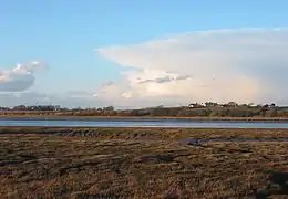 Countryside near the Wyre Estuary