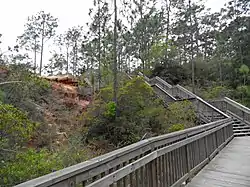 County park at Lillian, Alabama