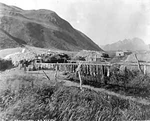 Indian village showing native method of drying salmon, c. 1888.