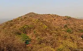 View from Cannon Point