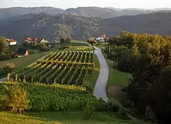 Trščina, lower part(August 2016)