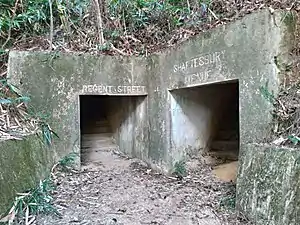 Two tunnel entrances with "Regent Street" and "Shaftesbury Avenue" etched above, surrounded by vegetation