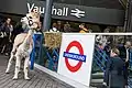 An alpaca helping TfL advertise their overground map