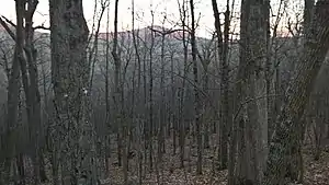 North Creek (conservation area) Fall 2019