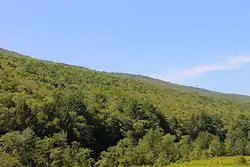 View of West Cameron Township, Northumberland County, Pennsylvania looking south to a forested ridge