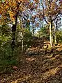 View up the hill toward Tippling Rock in Sudbury Massachusetts near Nobscot Hill Reservation