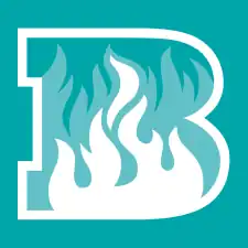 Brisbane Heat 2017–18 cap logo