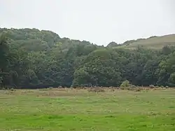 Location of West Ringstead