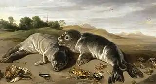 Paul de Vos, Two young seals on the shore, c. 1650, oil on canvas, 80 × 164&nbsp;cm.